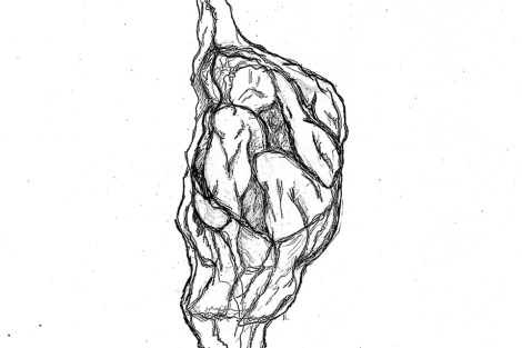 chrysalis Cropped 960 JoDee Luna